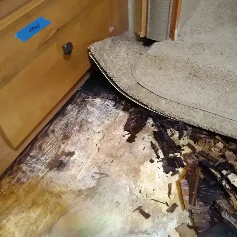 Wood Floor Water Damage in Palisade, CO